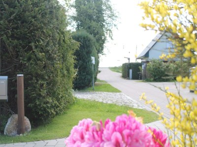 Holiday house Ruhiges Ferienhaus in Zingst–Urlaub nahe am Strand - Environment photo 32