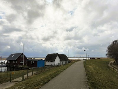 Holiday house Ruhiges Ferienhaus in Zingst–Urlaub nahe am Strand - Environment photo 36