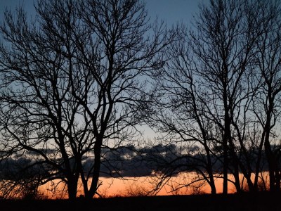 Apartment Luxuriöse Ferienwohnung in Boddin mit Garten - Outdoor photo 10