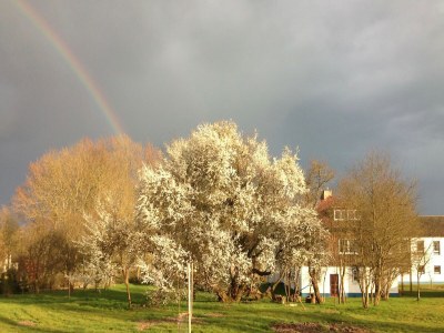 Apartment Luxuriöse Ferienwohnung in Boddin mit Garten - Environment photo 27