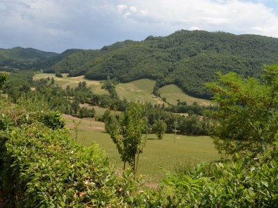 Apartment Belvilla by OYO Lavanda - Outdoor photo 4