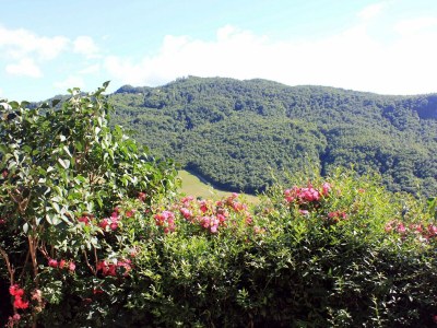 Apartment Belvilla by OYO Lavanda - Outdoor photo 8