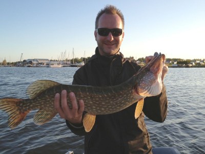 Holiday house Luxurious holiday home HBW 50 - Environment photo 24