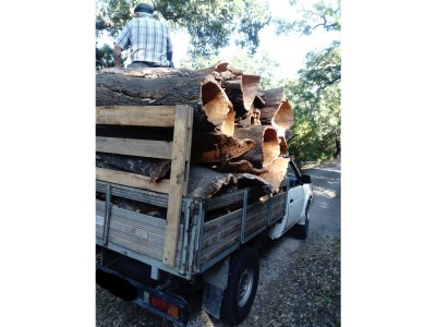 Villa Casa Cano Retiro - 49033/AL - Environment photo 19