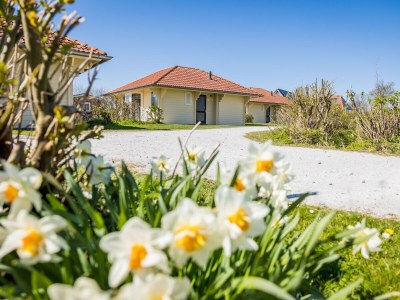 Bungalow Tjermelân whirlpool in Oosterend - Bungalow