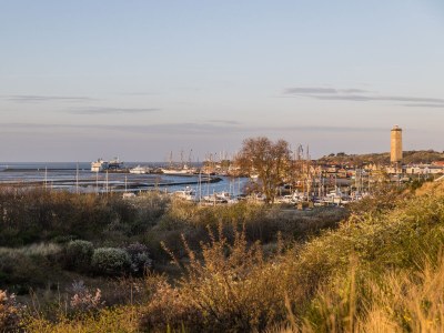Bungalow Tjermelân whirlpool - Environment photo 14