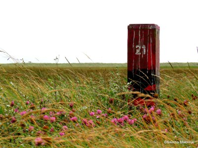 Bungalow Tjermelân whirlpool - Environment photo 16