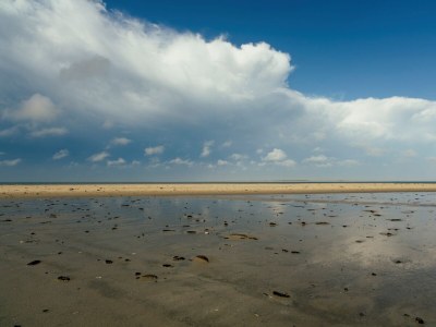 Bungalow Tjermelân whirlpool - Environment photo 17