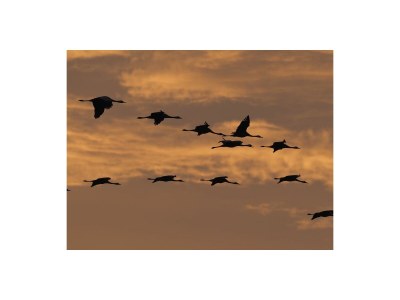 Holiday apartment - No title - - Environment photo 25