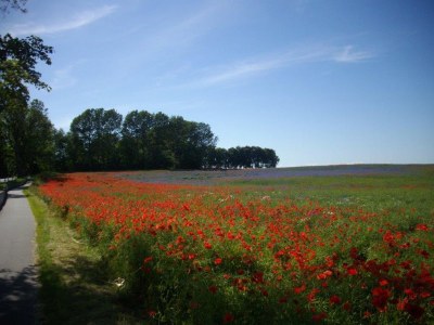 Holiday apartment - No title - - Environment photo 26