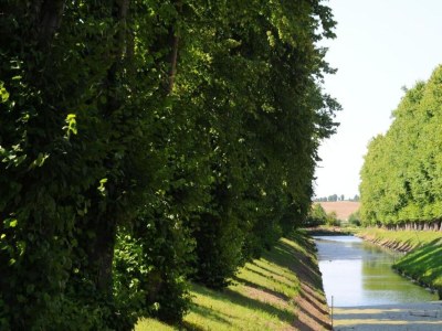 Apartment Geräumige Ferienwohnung mit Terrasse in Klütz - Environment photo 22