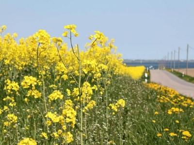 Apartment Geräumige Ferienwohnung mit Terrasse in Klütz - Environment photo 31
