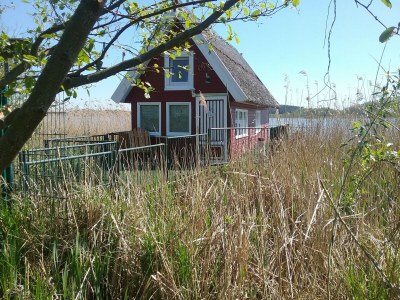 Holiday house Bootshaus direkt am See - Outdoor photo 13