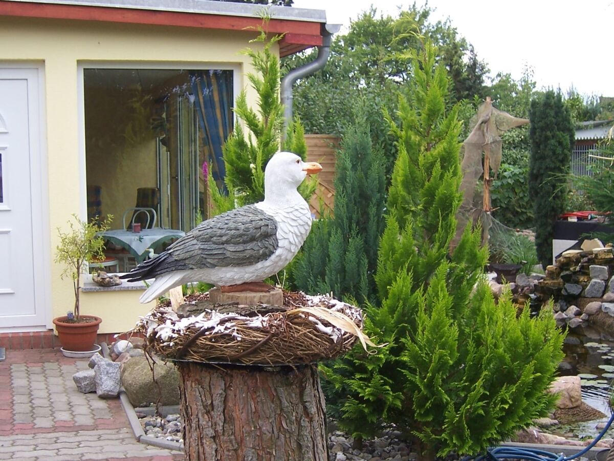 Apartment Komfortable Ferienwohnung in Strandnähe in Rerik - Outdoor photo 3