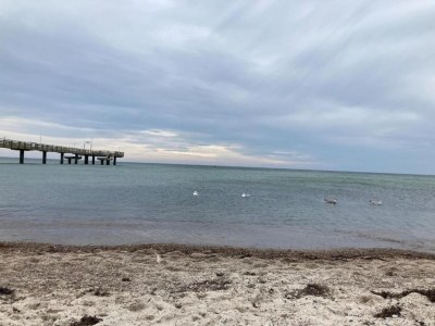 Apartment Apartment am Meer in Rerik - Environment photo 22