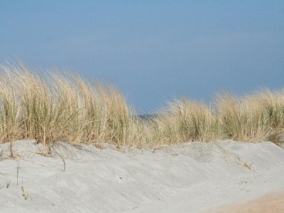 Apartment Apartment am Meer in Rerik - Environment photo 24