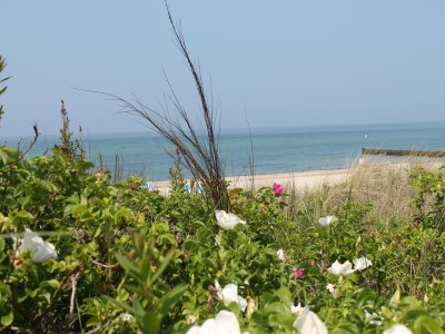 Apartment Apartment am Meer in Rerik - Environment photo 26