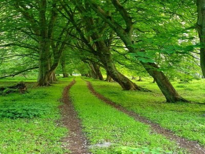 Apartment Ferienwohnung in Boltenhagen for 3 Personen - Environment photo 27
