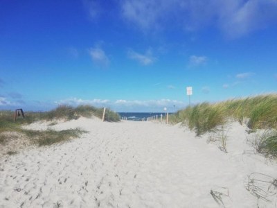 Apartment Wohnung in Zingst nahe Ostseestrand - Environment photo 39