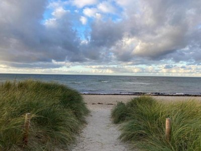 Apartment Wohnung in Rerik mit Meeresstrand - Environment photo 34