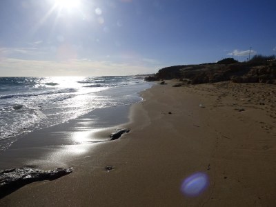 Holiday house Blasel - Environment photo 28