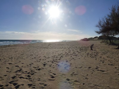 Holiday house Blasel - Environment photo 29