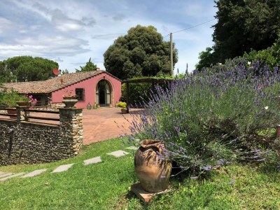 Holiday house Barn in Montespertoli - Holiday house