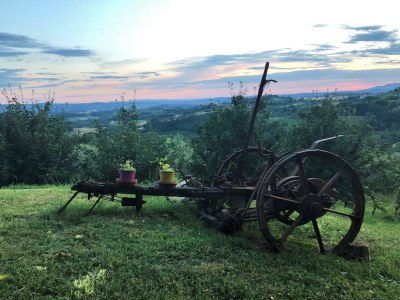 Holiday house Barn - Outdoor photo 9
