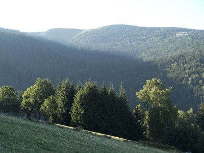 Holiday house Vogesenquelle - Environment photo 15