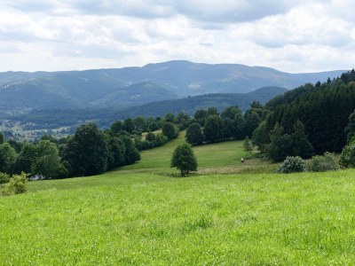 Holiday house Vogesenquelle - Environment photo 17