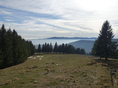 Holiday house Vogesenquelle - Environment photo 19