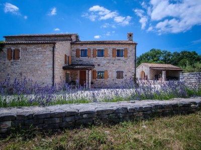 Villa Pura Vida - Environment photo 18