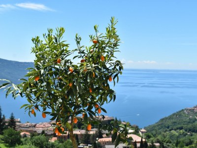 Holiday apartment L'Uva Rara - Outdoor photo 68