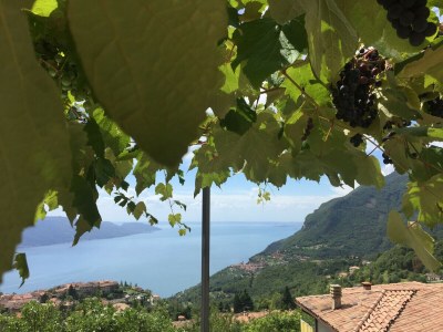 Holiday apartment L'Uva Rara - Outdoor photo 69