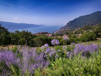 Holiday apartment L'Uva Rara - Outdoor photo 71