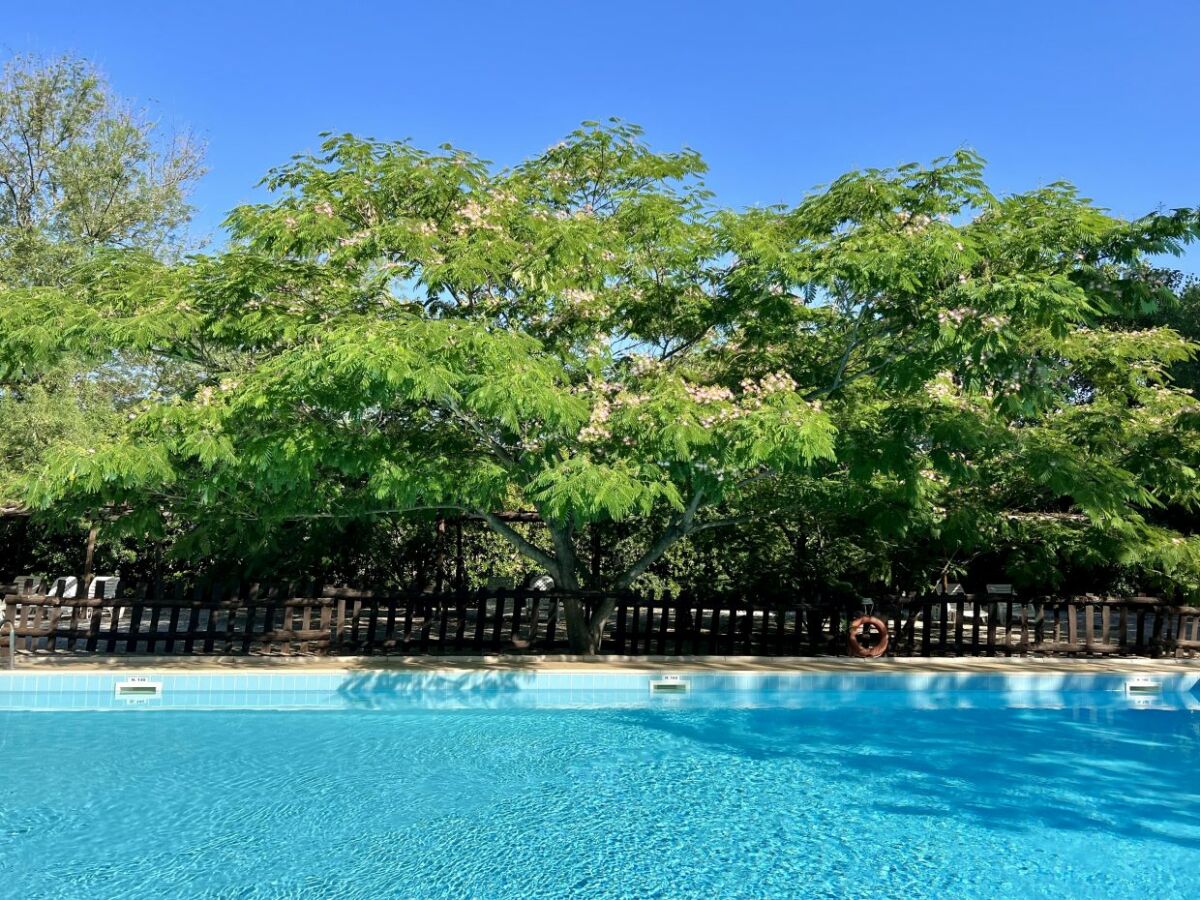 Holiday apartment La Querciolaia - Outdoor photo 5