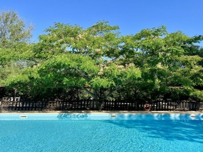 Holiday apartment La Querciolaia - Outdoor photo 5