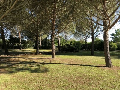 Holiday apartment La Querciolaia - Outdoor photo 8