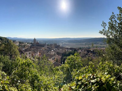 Holiday apartment La Querciolaia - Environment photo 18