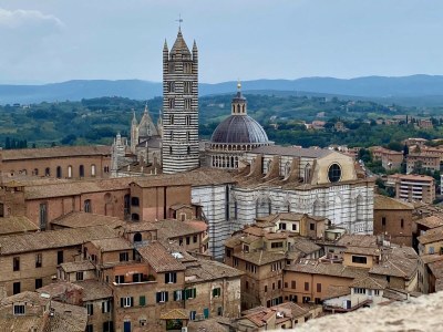 Holiday apartment La Querciolaia - Environment photo 26