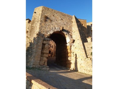 Holiday apartment La Querciolaia - Environment photo 28