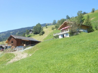 Apartment Apartment in Hollersbach near Ski Lift - Outdoor photo 10