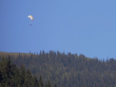 Apartment Apartment in Hollersbach near Ski Lift - Environment photo 31