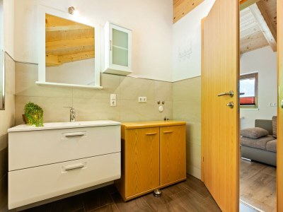 Apartment Apartment in Hollersbach near Kitzbühel ski lift - Features photo 8