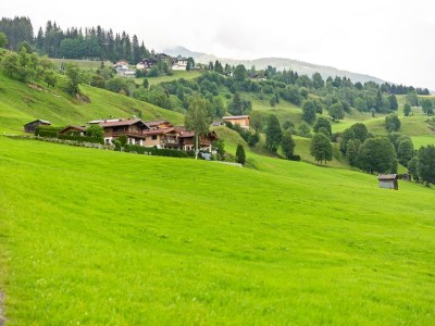 Apartment Apartment in Hollersbach near Kitzbühel ski lift - Environment photo 25