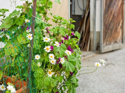 Apartment Apartment in Hollersbach near Kitzbühel ski lift - Outdoor photo 29