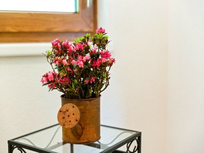 Apartment Apartment in Hollersbach near Kitzbühel ski lift - Outdoor photo 30