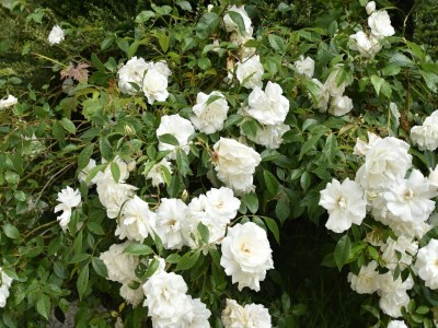 Holiday house Holiday Home near Brittany Beaches - Outdoor photo 3