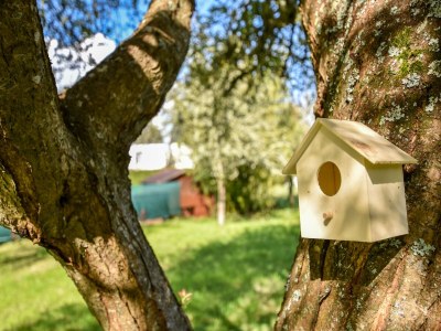 Holiday house Holiday Home near Brittany Beaches - Outdoor photo 11