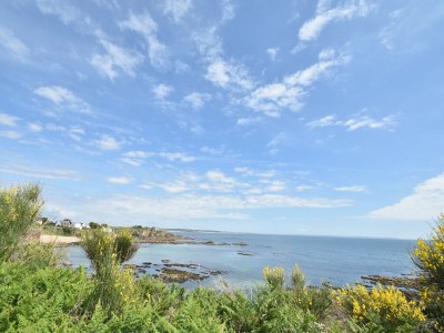 Holiday house Holiday Home near Brittany Beaches - Environment photo 25